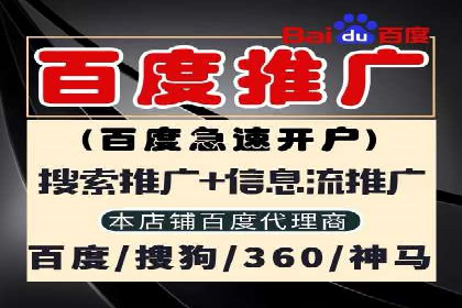 信息流广告代理项目案例分析